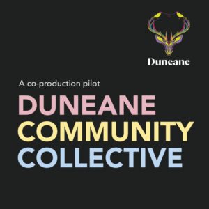 Duneane Community Collective - a co production pilot