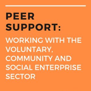 Peer Support working with the VCSE sector (1)